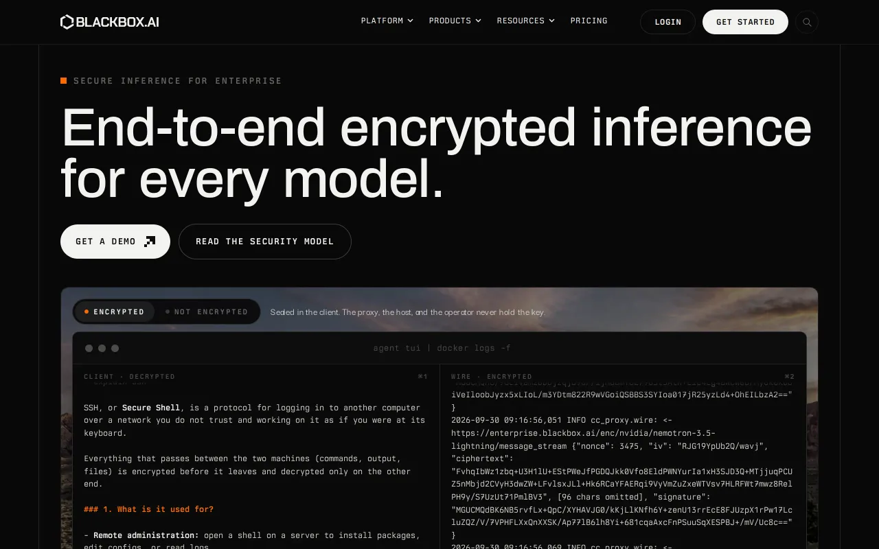 BLACKBOX AI screenshot