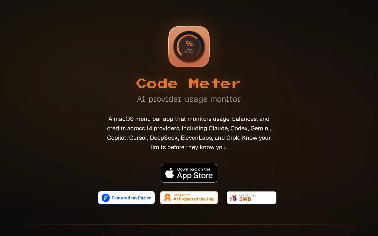 Code Meter screenshot