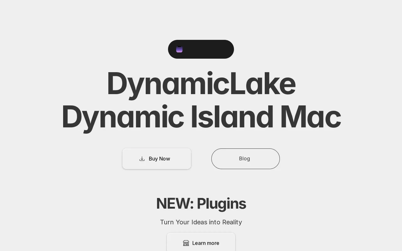 DynamicLake screenshot