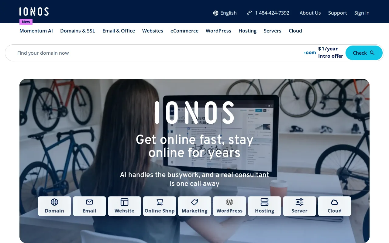 IONOS screenshot