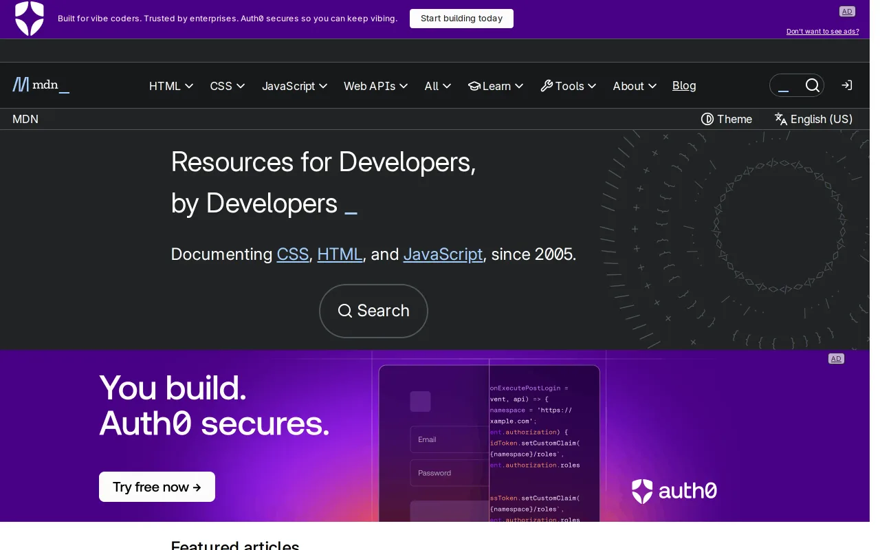 MDN Web Docs screenshot