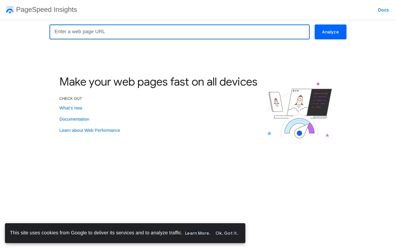 PageSpeed Insights screenshot