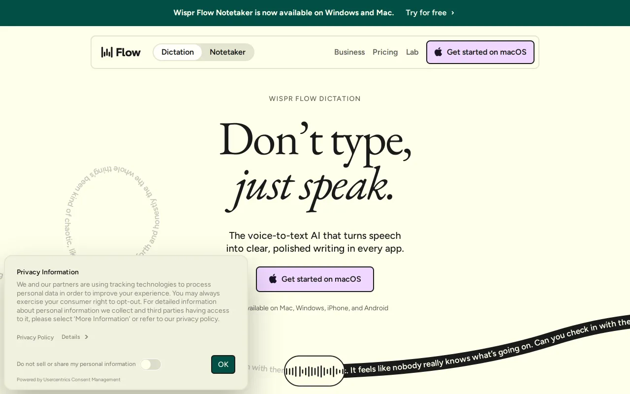 Wispr Flow screenshot