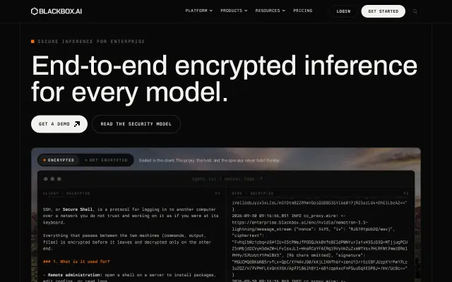 BLACKBOX AI preview