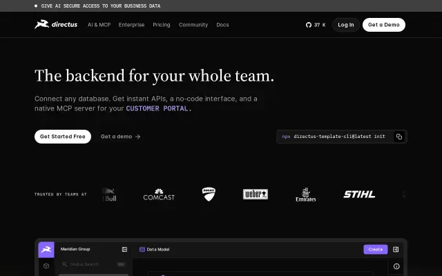 Directus preview