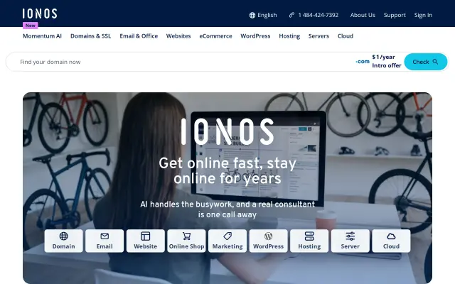 IONOS preview