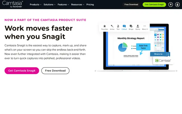 Snagit preview