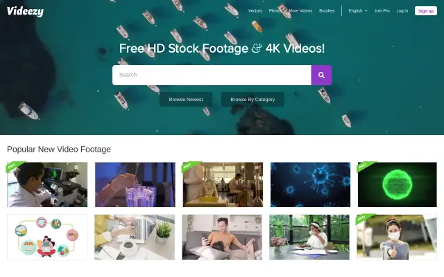Videezy preview